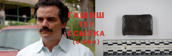 ECSTASY Белокуриха