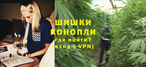 ECSTASY Белокуриха