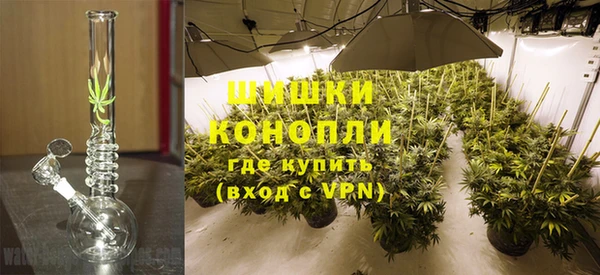 ECSTASY Белокуриха