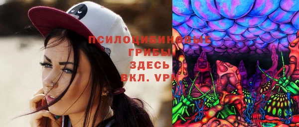 ECSTASY Белокуриха
