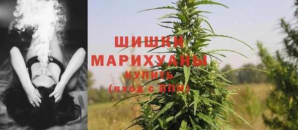 ECSTASY Белокуриха