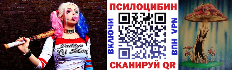 Галлюциногенные грибы Cubensis  цена   Краснотурьинск 